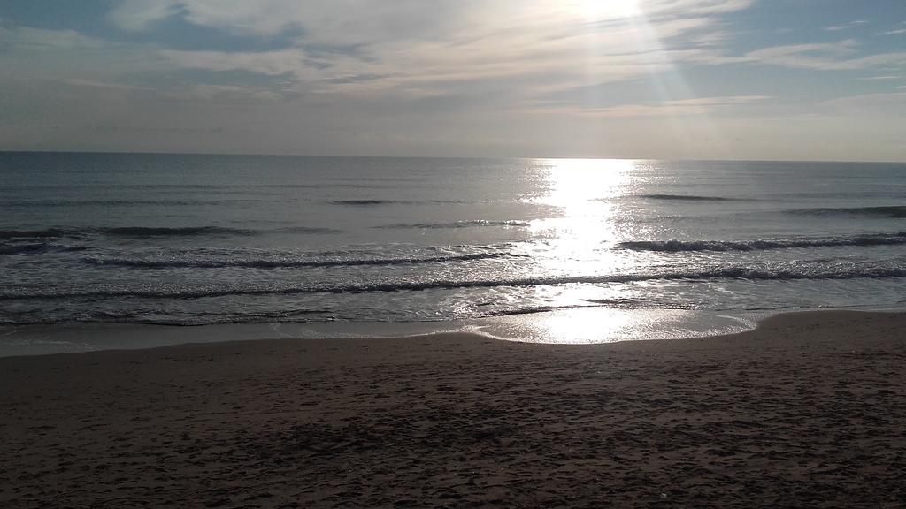 Apartamento Guardamar Playa Guardamar del Segura Luaran gambar